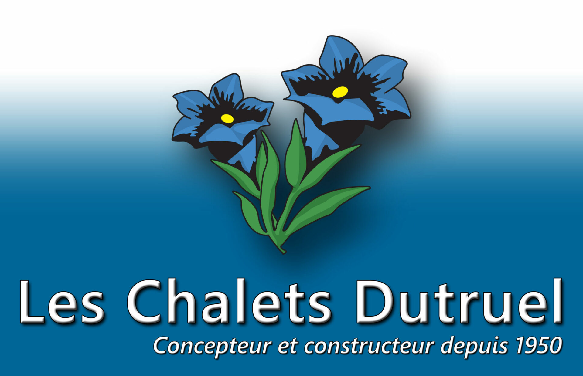 LES CHALETS DUTRUEL SAS