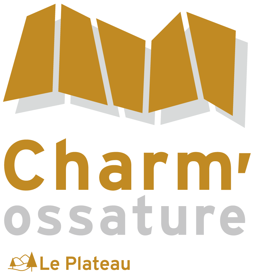 CHARM'OSSATURE