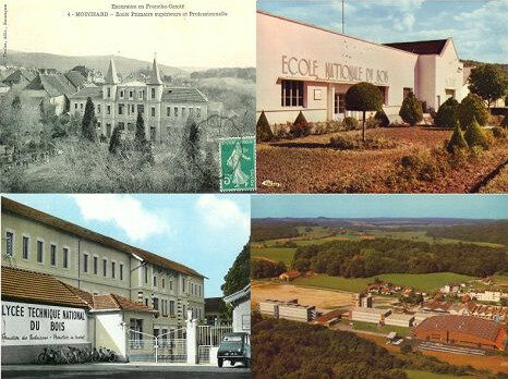 Le Lycée du Bois au fil des années