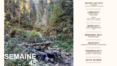 Semaine 45